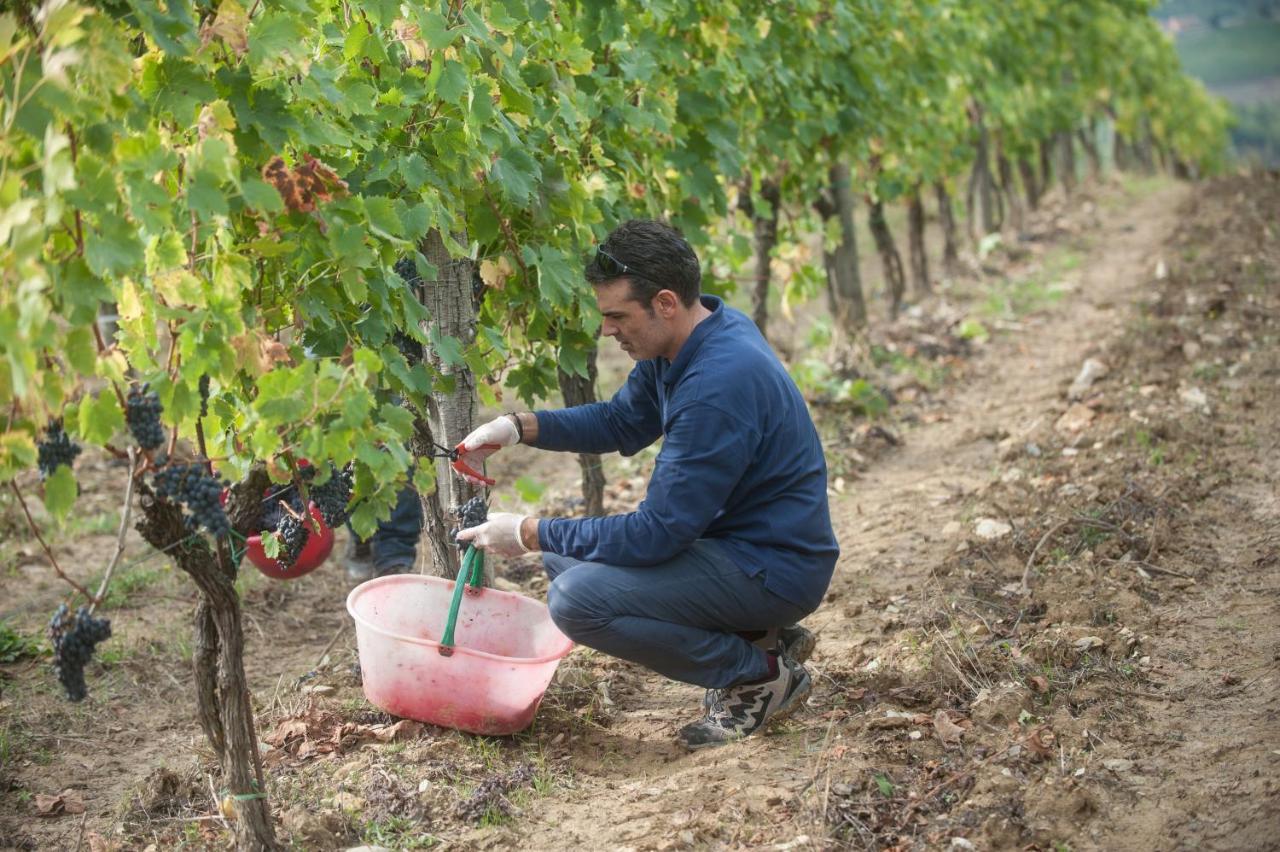 La Valletta Boutique Wine Estate Panzano in Chianti Exteriér fotografie